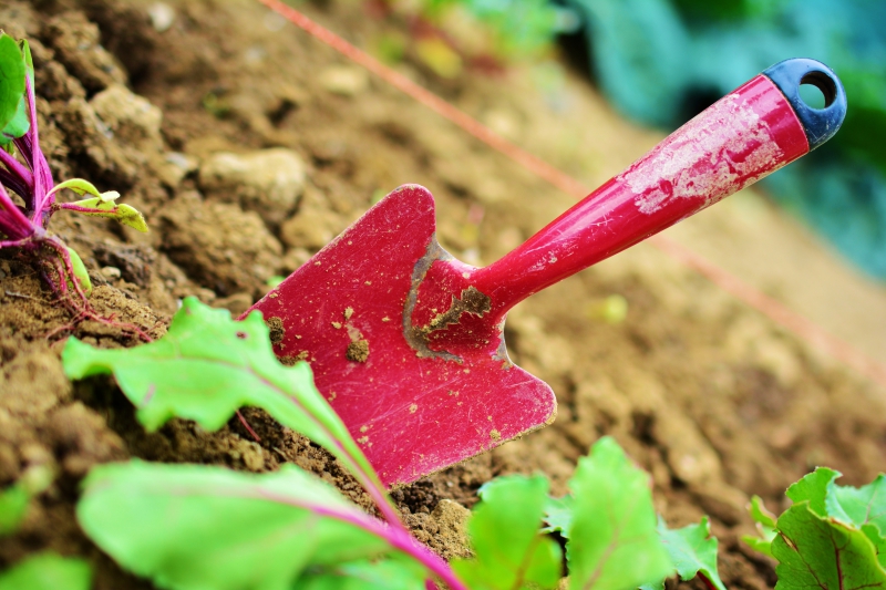 jardinerie-SEILLONS SOURCE D ARGENS-min_gardening-2448134